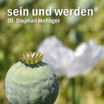 #11 - Wandel zulassen #11 - Wandel zulassen