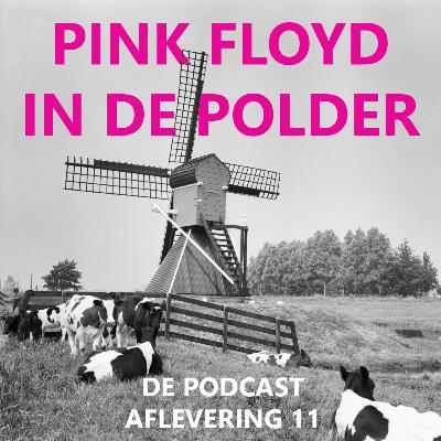 #11 - PINK FLOYD - COWDRAYS RUINS CONCERT 1993