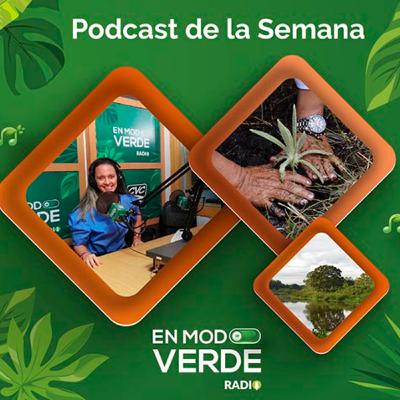 El Dovio recibió insumos de seguridad alimentaria - En Modo Verde Radio El Dovio recibió insumos de seguridad alimentaria - En Modo Verde Radio