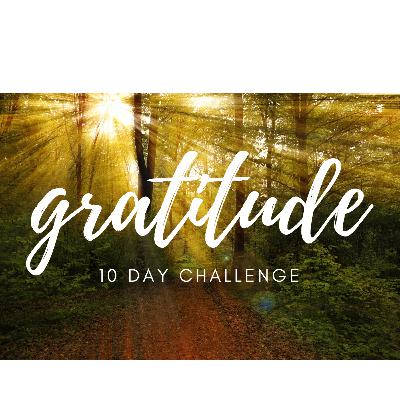 10 Days of Gratitude -Day 1. The Abundance Around Us.⭐☪✡