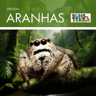 Os sons secretos das aranhas