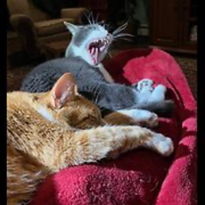 Episode 3012 CWSA 11/08/25