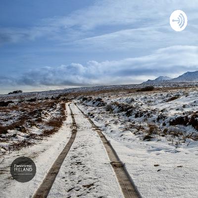 June 2020 Update from Panoramic Ireland