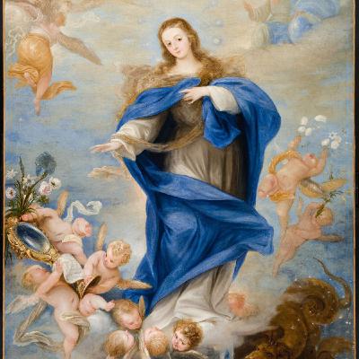 Immacolata Concezione B. V. Maria - 2025