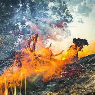 آتش نیستان episode artwork