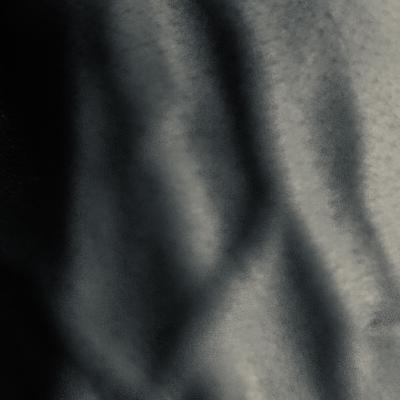 Ce qui nous tient - De Nils Loret