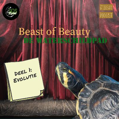 Dierbar presents: Beast of Beauty! De waterschildpad deel 1 (evolutie)