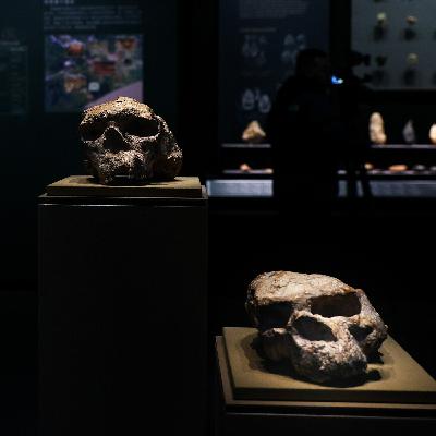 Homo Sapiens älter als angenommen?