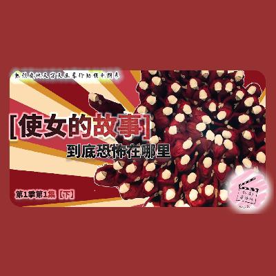 【美剧剖析】《使女的故事》【下集】到底恐怖在哪里？