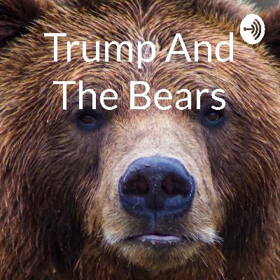 Trump and The Bears (Trailer)