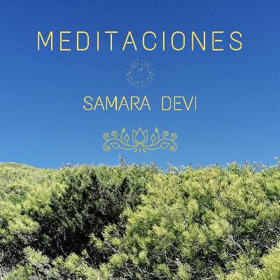 Meditación guiada "Conectando con la Naturaleza" 432Hz + ho-oponopono mantra.