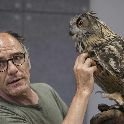 FRÉDÉRIC PIERROT, comédien