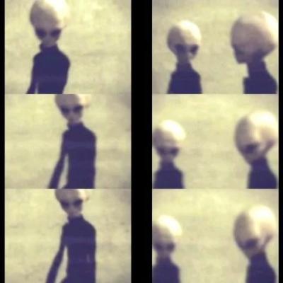 Close Encounters of the Bob Kind (P2): the Bobening
