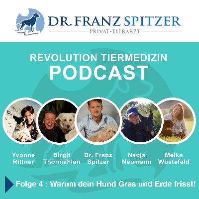 Folge 4: warum dein Hund Gras und Erde frisst!
