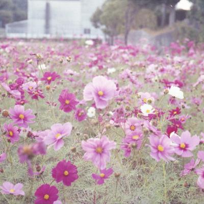 自己肯定感 ひとやすみ