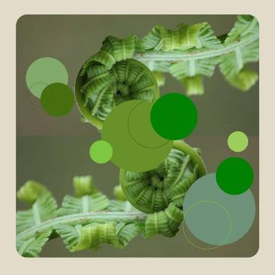 Perdidos en el Bosque en pleno equinoccio de otoño. ¡Al fin! Perdidos en el Bosque en pleno equinoccio de otoño. ¡Al fin!