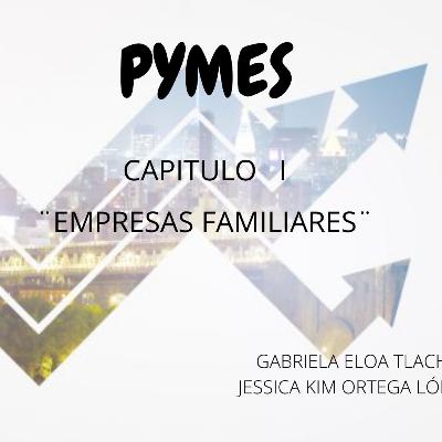 EMPRESAS FAMILIARES
