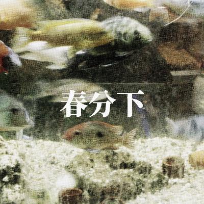춘분下 | 📞 Green-CRT 작업실