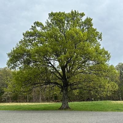 Worldly or Spiritually Worldly or Spiritually