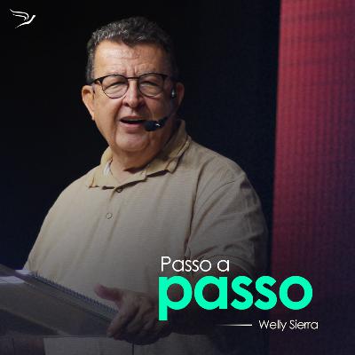 Passo a Passo - Welly Sierra