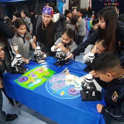 Objetivo priorizado curso priorizacion curricular Objetivo priorizado curso priorizacion curricular