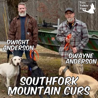 215. Southfork Mountain Curs