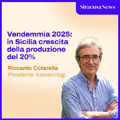Episode 374: Vendemmia 2025, in Sicilia crescita della produzione del 20%