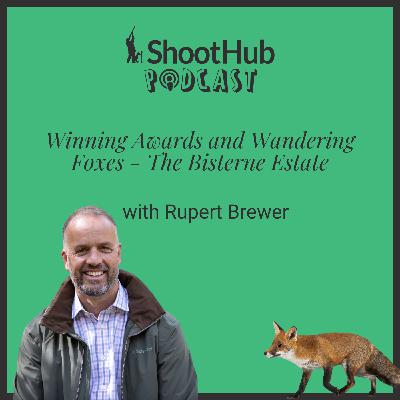 Winning Awards and Wandering Foxes - The Bisterne Estate Winning Awards and Wandering Foxes - The Bisterne Estate