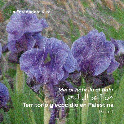 Min al-nahr ila al-bahr. Territorio y ecocidio en Palestina, Parte 1