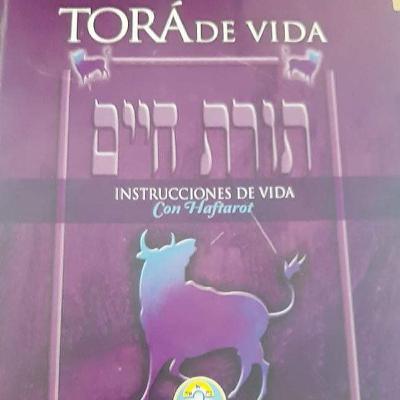 Parasha Vezot haBraja - Y esta es la bendición - Capítulo 33