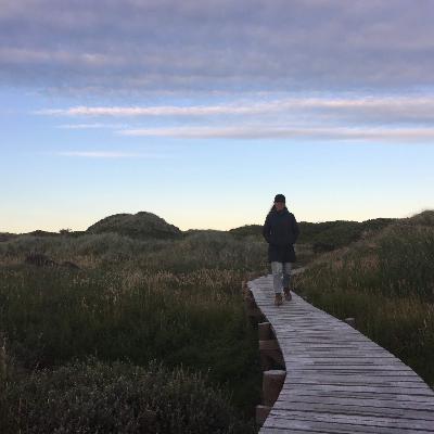 #0: Uvenner i Turtle