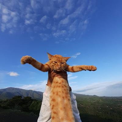 Passive Voice Passive Voice