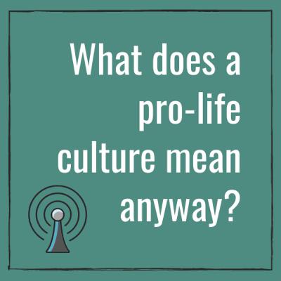 What does a pro-life culture mean anway?