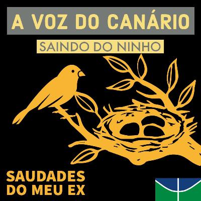Entrevista com a equipe do "Cadê o MW?"
