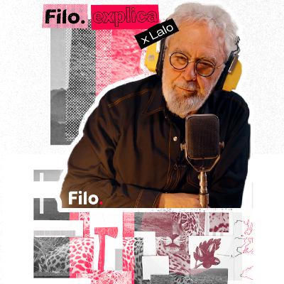 BOSQUES en peligro: Camino a una catástrofe | Filo Explica BOSQUES en peligro: Camino a una catástrofe | Filo Explica