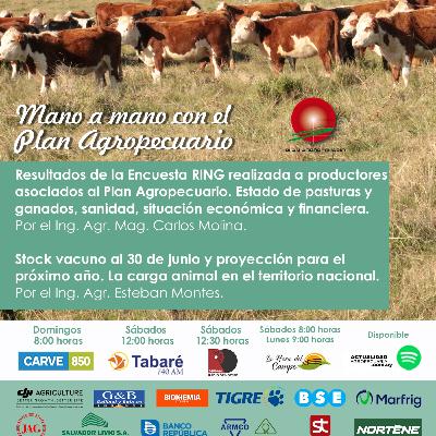 Resultados de la Encuesta RING. Stock vacuno.