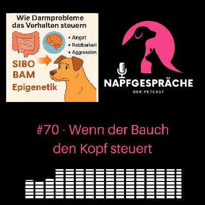 #70 – Wenn der Bauch den Kopf steuert