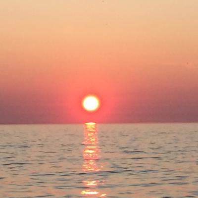 Chicken Balboa, mermaids gone mad or may it’s just Clint....