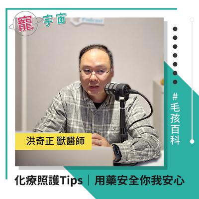 EP74《毛孩百科#34》化療照護Tips｜用藥安全你我安心｜feat. 洪奇正 獸醫師