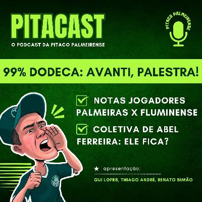 Pós-jogo Palmeiras 1x0 Fluminense | Dodeca à vista! | Abel Ferreira fica?