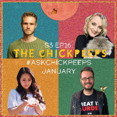 S3, Ep16: #AskChickPeeps January
