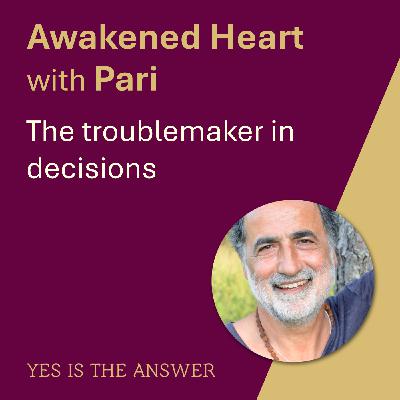 The troublemaker in decisions