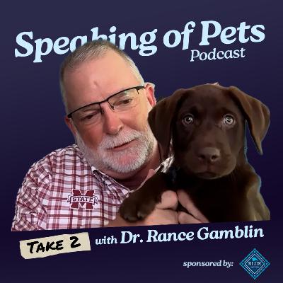 How to Handle Pet Cancer | SOP Ep. 95 - Dr. Rance Gamblin - Take 2 How to Handle Pet Cancer | SOP Ep. 95 - Dr. Rance Gamblin - Take 2