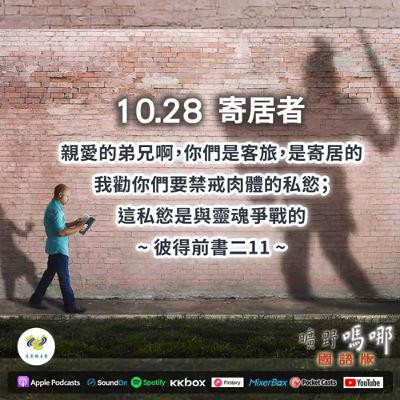 曠野嗎哪-寄居者 曠野嗎哪-寄居者