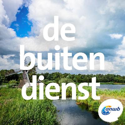 In de moerassen van de Weerribben In de moerassen van de Weerribben