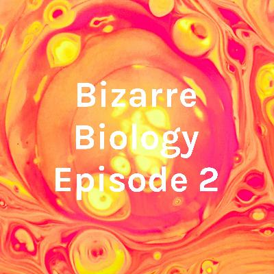 Bizarre Biology Episode 2