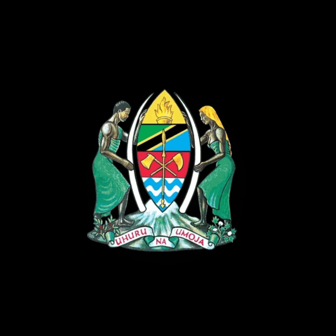 Utumishi Tips & Ajira Alerts | Tanzania Career Talks