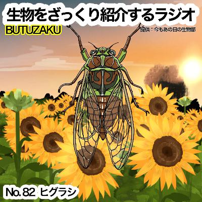 第82話：✉️「ヒグラシ」をざっくり紹介