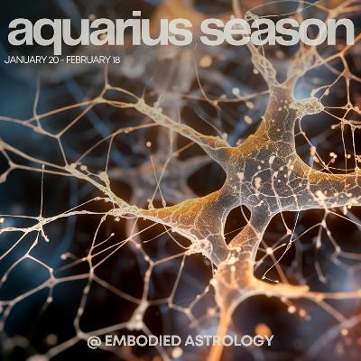 VIRGO Horoscope for Aquarius Season (January 20 - February 18, 2024)