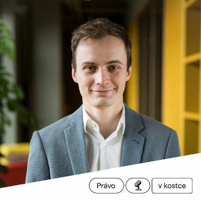 Právo v kostce # 48 - „Předat software není jako předat někomu klíče od domu.“ Právo v kostce # 48 - „Předat software není jako předat někomu klíče od domu.“